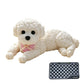 ⏳🔥LIMITED-TIME 50% OFF! ⏰Cute Squishy Teddy Dog Stress Relief Toy🐾