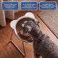 Feed Dogs Comfortably Instantly! No-Strain 15° Tilted Steel Bowl
