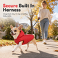 🐕 Save 70%! 🧥 Hooded Dog Coat – Fleece‑lined, windproof & built‑in harness ✨