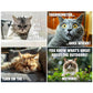 🔥LAST DAY SALE 75% OFF🔥Funny Peed-Off Cats Calendar