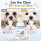 🎉Limited‑Time 50% OFF 🐶🐱Pet Tear Stain Remover Cream