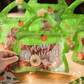 ❄️🎅Early Christmas Sale 50% OFF!!☃️🎄Christmas Treat Bags, Kids Xmas Sealable Bags With Handle 10 PCS❄️