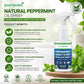 👍Natural Peppermint Oil Insect and Pest Spray🪳🦟 –Maximum Strength - Safe Scent Formula for Home & Garden