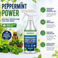 👍Natural Peppermint Oil Insect and Pest Spray🪳🦟 –Maximum Strength - Safe Scent Formula for Home & Garden