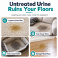 Pet Urine Stain and Odor Remover Spray for Carpets Sofas and Mattresses