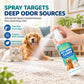 Pet Urine Stain and Odor Remover Spray for Carpets Sofas and Mattresses