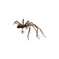 😍Giant spider earrings🔥